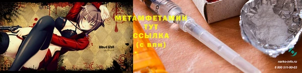 индика Сосновка