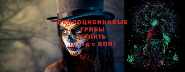 СК Ельня