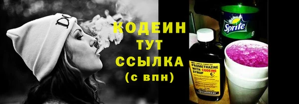 сатива Елабуга