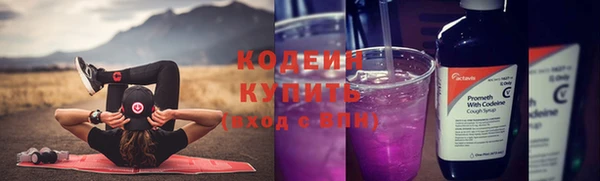 индика Сосновка