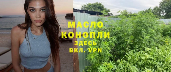 СК Ельня