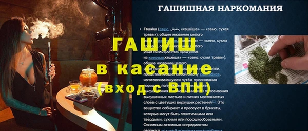 сатива Елабуга