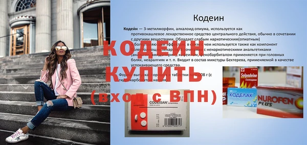 СК Ельня