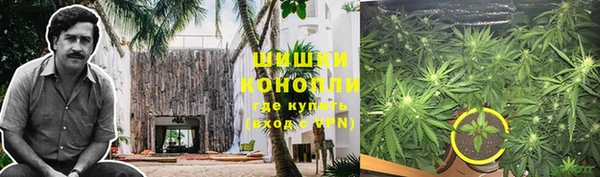 сатива Елабуга
