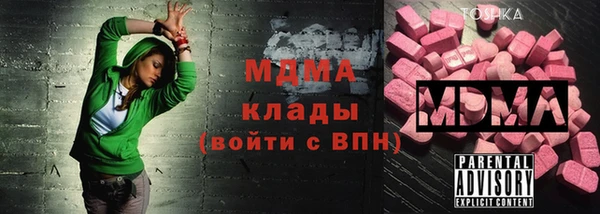 СК Ельня