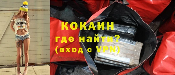 СК Ельня