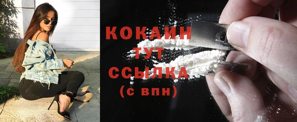 СК Ельня