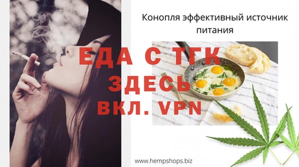 СК Ельня